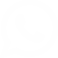 WhatsApp FIO77